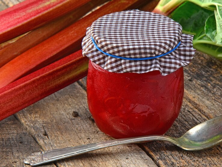 Anfang April beginnt die Rhabarber-Saison.