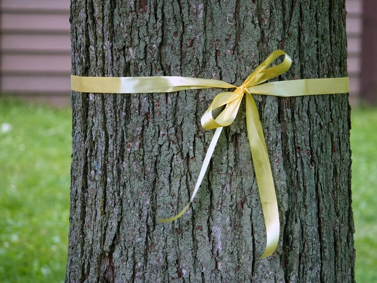 Gelbes Band um Baum. 