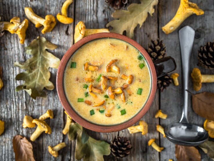 Aus der Vogelperspektive: eine Schüssel Kartoffelsuppe mit Pfifferlingen stehtauf einem Untergund aus Holz. Drumherum liegen Blätter, Tannenzapfen und frische  Pfifferling sowie eine Suppenkelle.