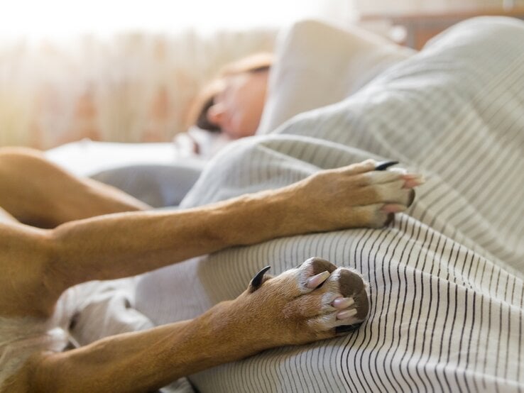 iStock-618555756.jpg | © iStock/Photoboyko