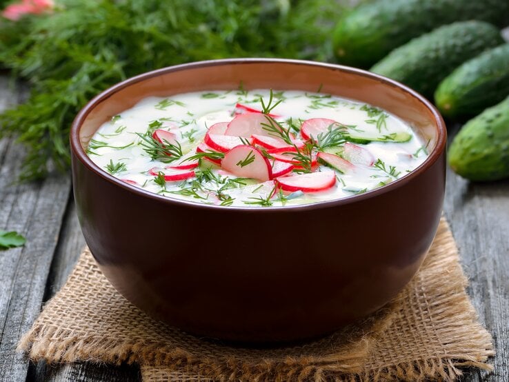 Braune Schale gefüllt mit einer kalten Joghurtsuppe, dekoriert mit Radieschen und Dill. 