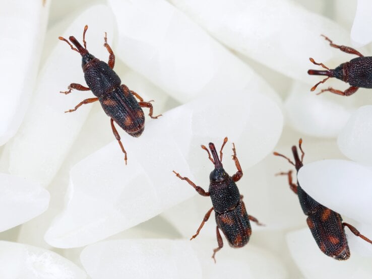 GettyImages-1302584169.jpg | © Tomasz Klejdysz / GettyImages