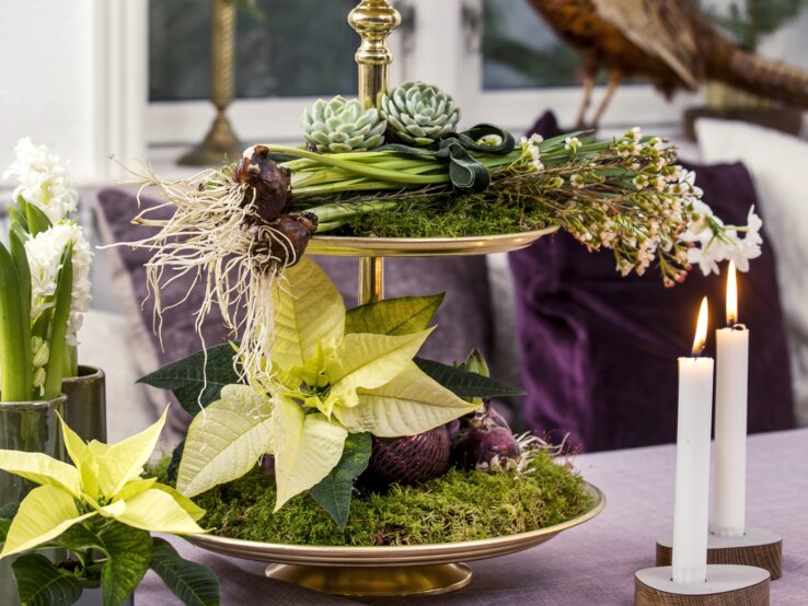 Weihnachtsstern Etagiere Arrangement | © starsuniteeurope.eu