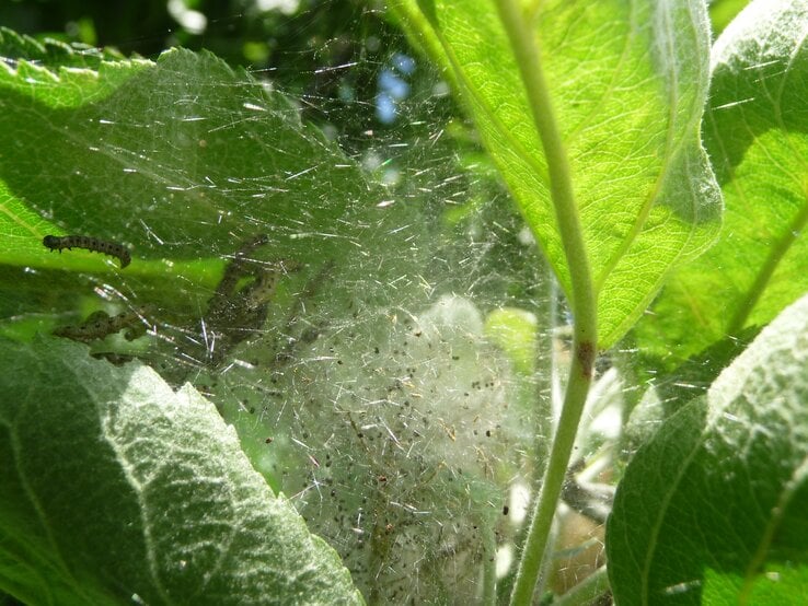 GettyImages-831471344.jpg | © Getty Images/Andreas Steidlinger