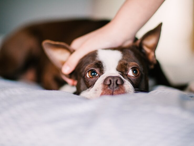 GettyImages-1139993909.jpg | © Getty Images/Rebecca Nelson