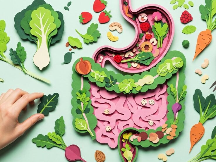 Ein farbenfrohes, kunstvolles Bild, das den menschlichen Verdauungstrakt darstellt, aus Papier gestaltet. Der Magen und der Darm sind in Rosa dargestellt, umgeben von detaillierten Papierausschnitten verschiedener Gemüsesorten wie Karotten, Rote Beete, Salat, und Obst wie Erdbeeren und Himbeeren. Eine Hand greift nach einem grünen Blatt auf der linken Seite. Das Bild symbolisiert gesunde Ernährung und die Verbindung zwischen Lebensmitteln und Verdauung.
