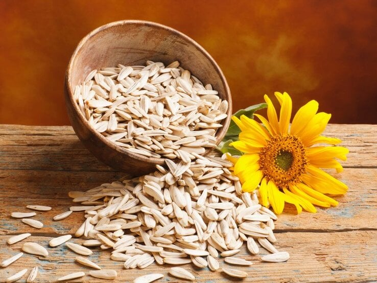 Schale mit Sonnenblumenkernen, daneben eine gelbe Sonnenblume auf Holztisch. | © Getty Images Signature/ syolacan via Canva.com