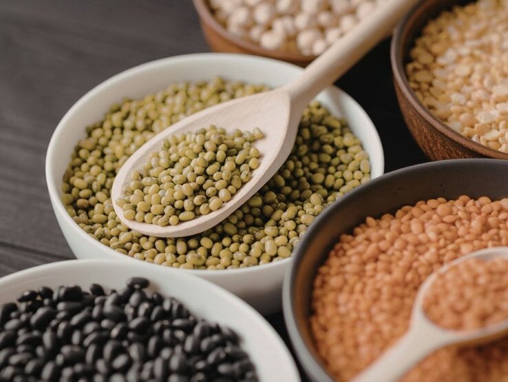 Verschiedene Hülsenfrüchte in Schalen: Mungbohnen, Linsen, Kichererbsen, schwarze Bohnen. | © Corina Ciocirlans Images
