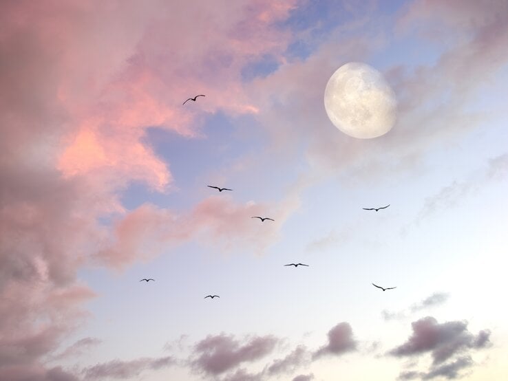 Ein Himmel in sanften Pastellfarben mit rosa und blauen Wolken während der Dämmerung. Der fast volle Mond leuchtet am Himmel, während mehrere Vögel in eleganten Formationen durch die Luft gleiten. Die Szene vermittelt eine ruhige, verträumte und mystische Atmosphäre.