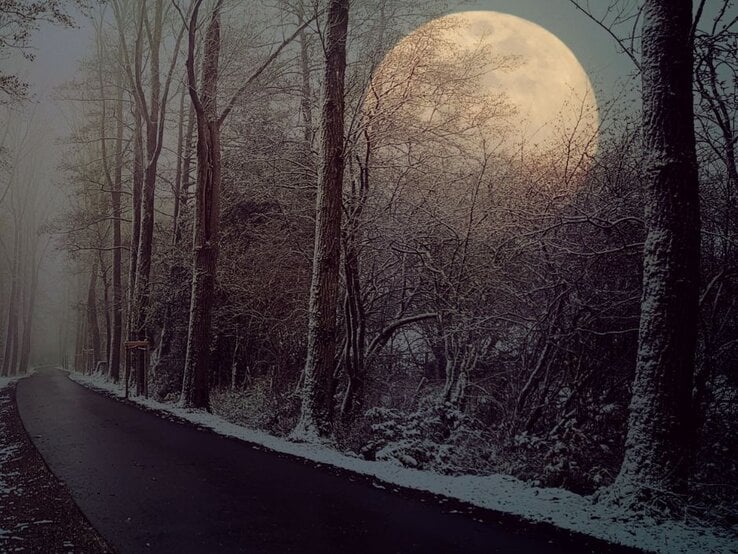 Ein verschneiter Waldweg bei Nacht, umgeben von hohen, kahlen Bäumen. Der Vollmond scheint hell und groß am Himmel und wirft ein sanftes Licht auf die winterliche Landschaft.