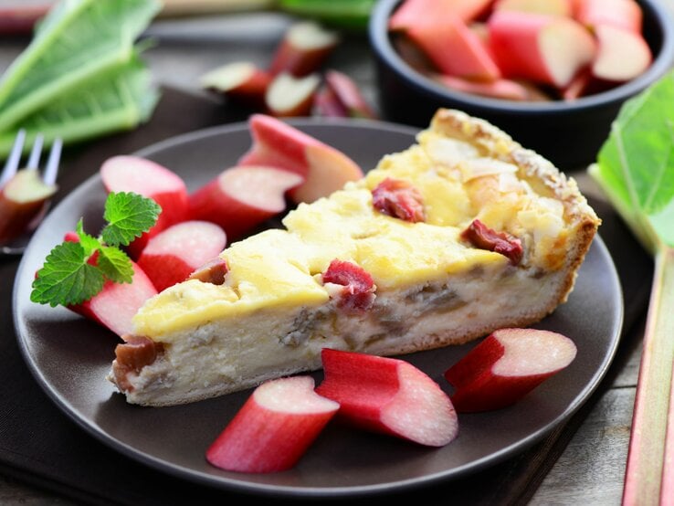 Cremiger Rhabarberkuchen mit frischen Stücken auf dunklem Teller, garniert mit Minzblättern. | © Shutterstock/photocrew1
