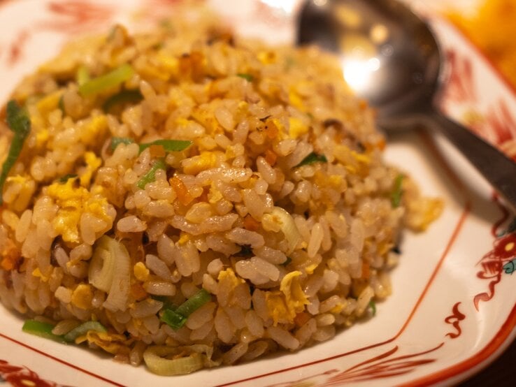 Ein weiß-roter Teller mit asiatischem Muster und dem Reisgericht nah und von vorne fotografiert.