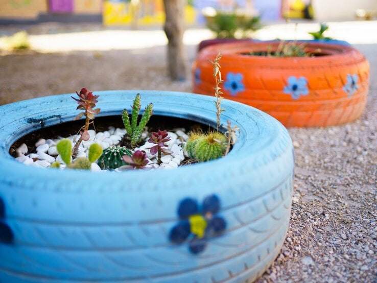 Bunte bemalte Autoreifen dienen als DIY-Pflanzgefäße für verschiedene Sukkulenten und Kakteen, im Vordergrund ein blauer Reifen mit Kieselsteinen.