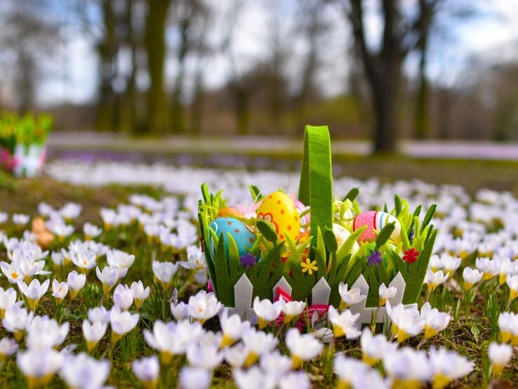 Ein Osterkörbchen aus Filz mit bunten Eiern steht inmitten blühender weißer Krokusse auf einer Frühlingswiese.