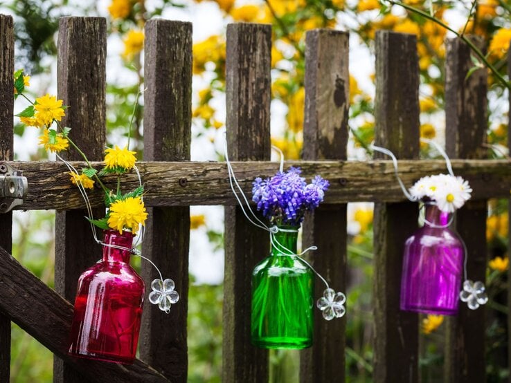 Drei bunte Glasflaschen mit gelben, blauen und weißen Blumen hängen dekorativ an einem alten Holzzaun im blühenden Garten.