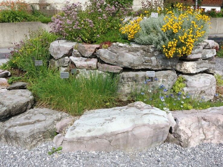 Mehrere Kräuter wachsen in einer Kräuterspirale aus groben Natursteinen vor grauem Schotter und Betonmauer.