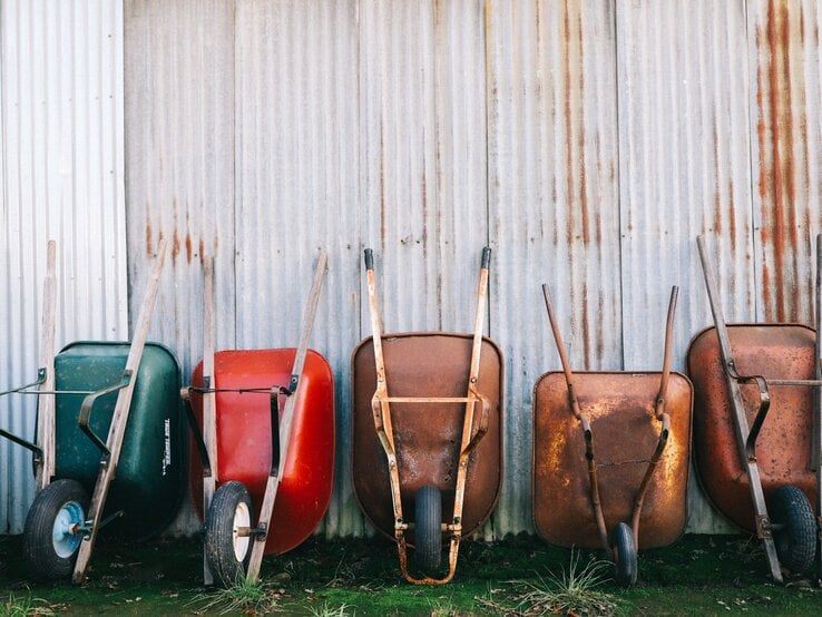 Sechs rostige und bunte Schubkarren lehnen nebeneinander an einer Wellblechwand mit Patina auf moosigem Untergrund.