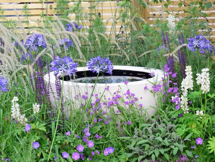 Üppiges Blumenbeet mit violetten und weißen Blüten umgibt ein runder, moderner Solarbrunnen vor hölzerner Sichtschutzwand.