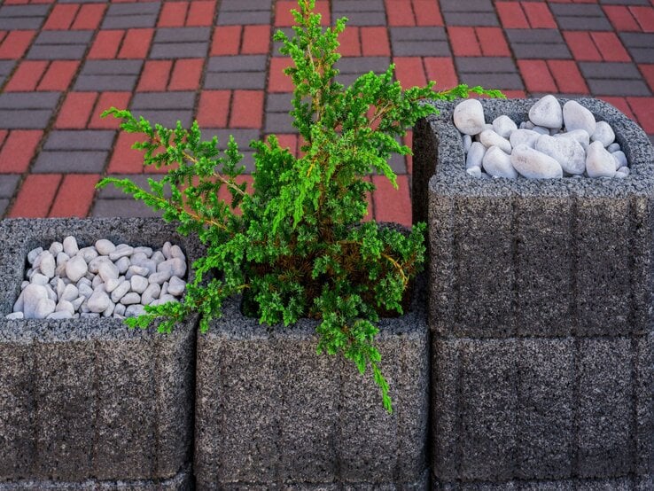 Drei Betonblöcke mit weißen Kieselsteinen und grünem Strauch, aufgestellt vor einem gemusterten Pflaster aus roten und grauen Steinen.