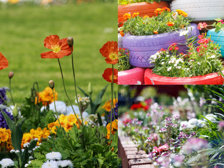 Üppige Blütenpracht in kräftigen Farben zieht sich durch kreative Pflanzgefäße, Blumenrabatten und gepflegte Rasenflächen. Das Ganze umrandet von Beeteinfassungen. 