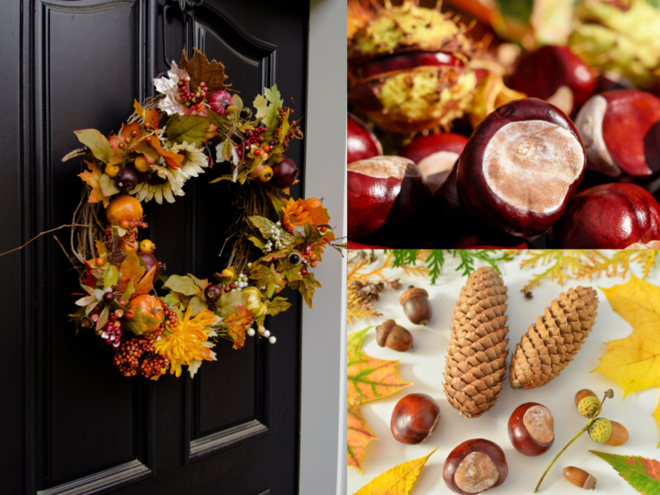 Herbstkranz mit Kastanien an dunkler Tür, daneben glänzende Kastanien, Tannenzapfen, Eicheln und buntes Laub auf hellem Untergrund arrangiert.