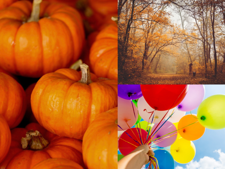 Leuchtende Kürbisse, ein nebliger Waldweg mit herbstlich goldenen Bäumen und bunte Luftballons vor strahlend blauem Himmel.