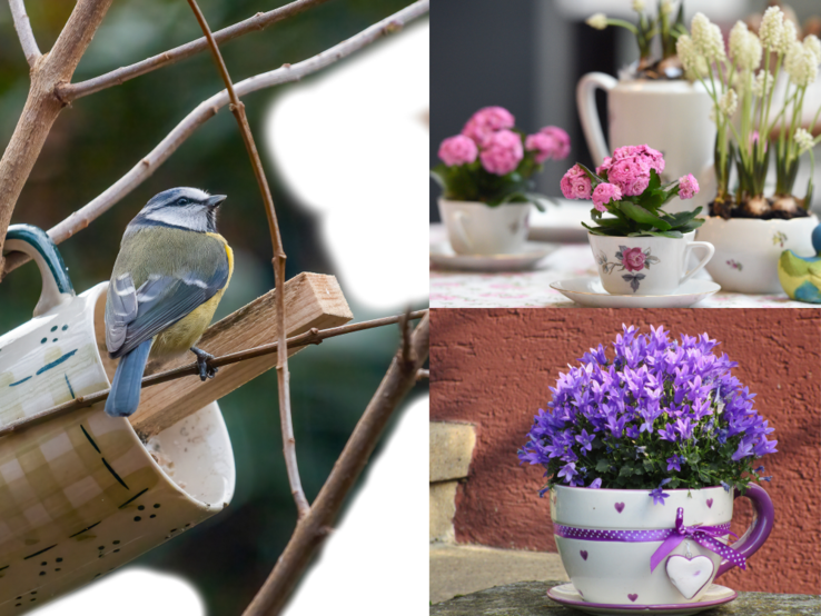 Eine Blaumeise sitzt auf einem Ast neben einer Tasse, rechts stehen blühende Frühlingsblumen dekorativ in Vintage-Teetassen.