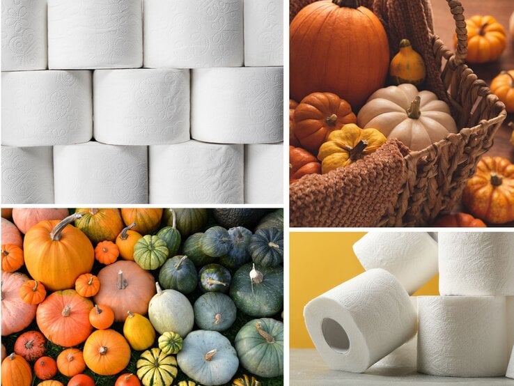 Bunte Kürbisse und Zierkürbisse in Orange, Grün und Gelb, eng aneinander angeordnet auf einer Wiese mit sattem Grün.