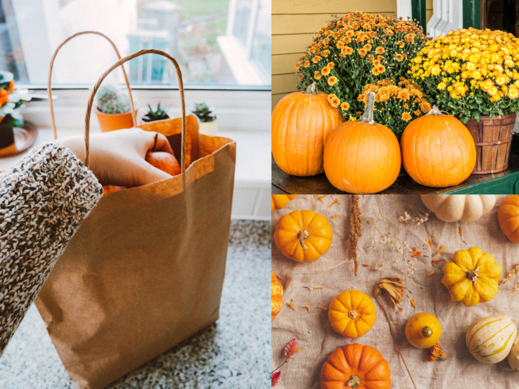Hand greift in Papiertüte am Fenster, daneben Kürbisse mit Chrysanthemen und herbstlich arrangierte Zierkürbisse auf Leinentuch.