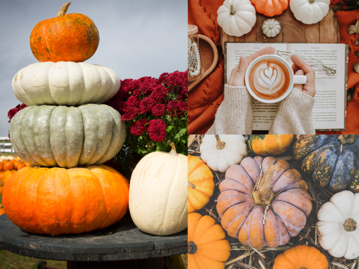 Verschiedenfarbige Kürbisse, herbstliche Deko, Cappuccino mit Herzmuster und rote Chrysanthemen auf einer Collage vereint.