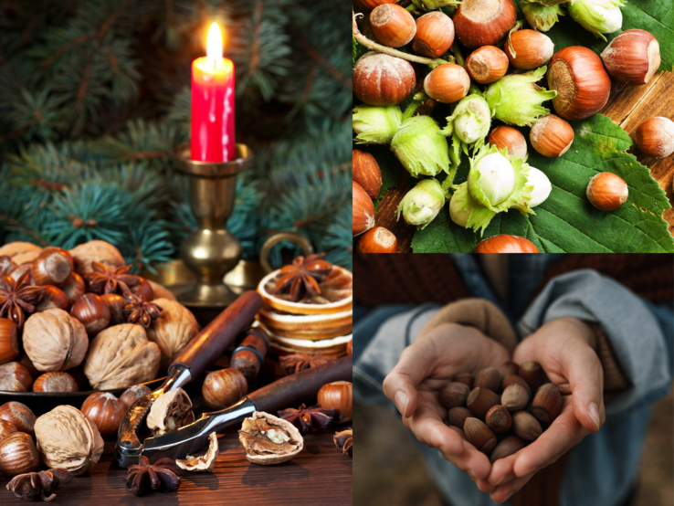 Verschiedene Haselnüsse in Schale, auf Blättern, in Kinderhänden und festlich mit Walnüssen, Gewürzen und Kerze arrangiert.