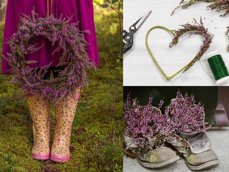 Kranz aus Heidekraut, Herz aus Draht mit Heide, alte Schuhe bepflanzt mit Heide – herbstliche Dekoideen in Wald und Zuhause.