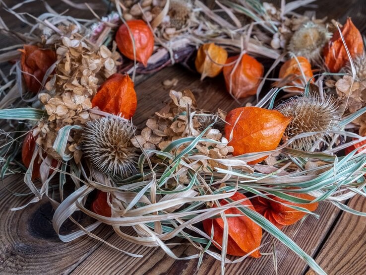 Herbstlicher Türkranz mit orangefarbenen Lampionblumen, trockenen Hortensien und stacheligen Disteln auf Holzuntergrund.