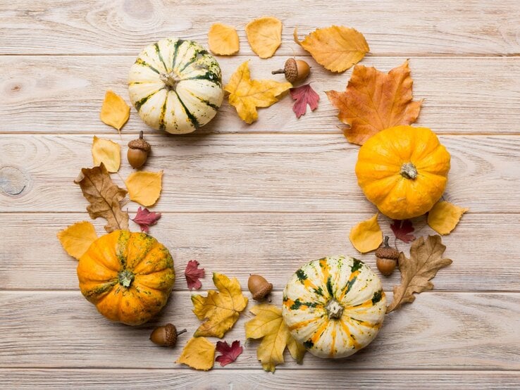 Vier kleine Zierkürbisse liegen im Kreis aus bunten Herbstblättern und Eicheln auf hellem, rustikalem Holzuntergrund.