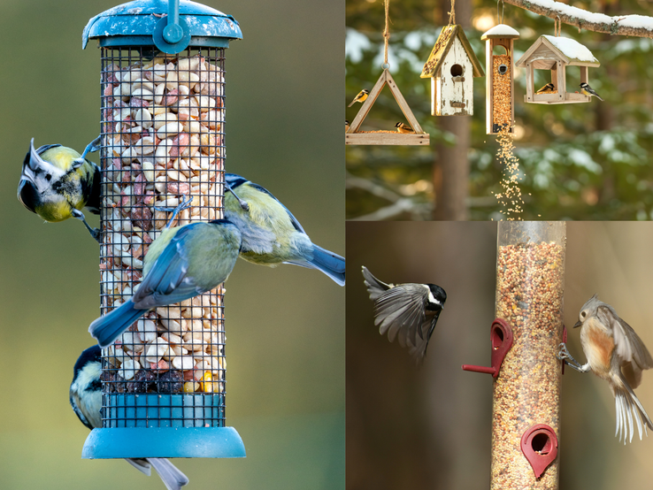 Mehrere Meisen und Finken fressen an bunten Vogelfutterspendern aus Metall, Holz und Kunststoff in winterlicher Waldkulisse.