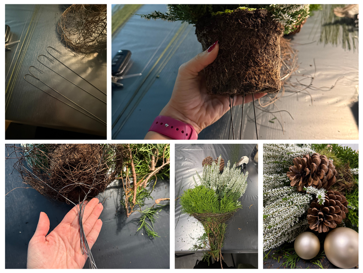 Schritt-für-Schritt-Anleitung zur Weihnachtsgesteck-Herstellung aus Thuja mit Draht, Wurzelballen, Zapfen, Erika und goldenen Kugeln. | © Canva/Collage:bildderfrau.de