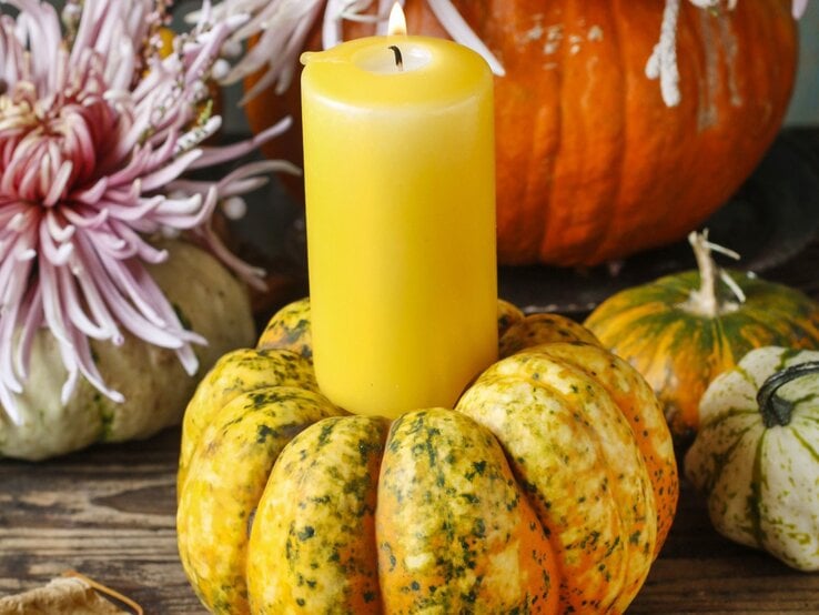 Gelbe Stumpenkerze brennt in einem dekorativen Kürbis auf rustikalem Holztisch, umgeben von Chrysanthemen und Zierkürbissen.