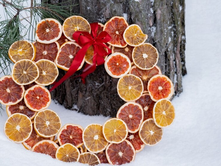 Türkranz aus getrockneten Orangenscheiben mit roter Schleife lehnt an verschneitem Baumstamm neben grünen Kiefernzweigen.