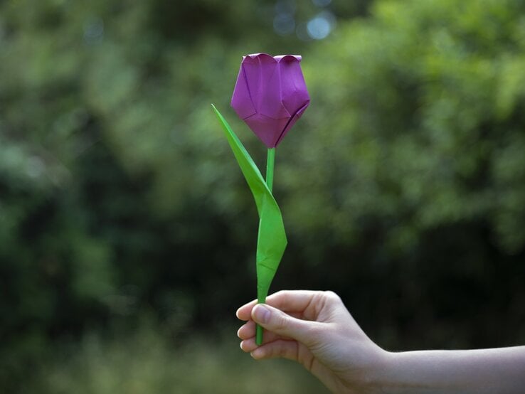 Zu sehen ist eine Hand, die eine lila Papiertulpe hält.