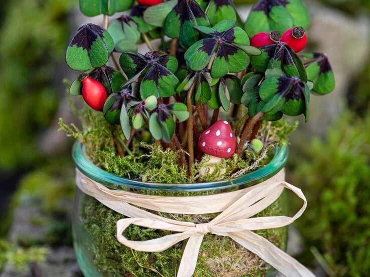 Glück-Marmeladenglas mit Moos, Glücksklee und Hagebutten, verziert mit Bastschleife, auf moosbedecktem Naturstein platziert.