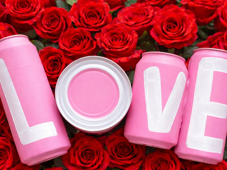 Dosen DIY-Valentinstag Geschenk basteln 