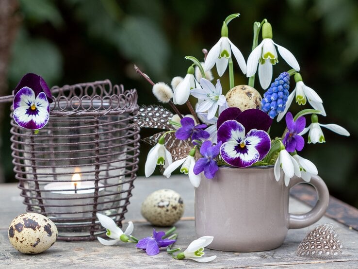 Frühlingshaftes Arrangement aus weißen Schneeglöckchen, lila Veilchen und blauer Traubenhyazinthe in grauer Tasse neben Kerzenlaterne.