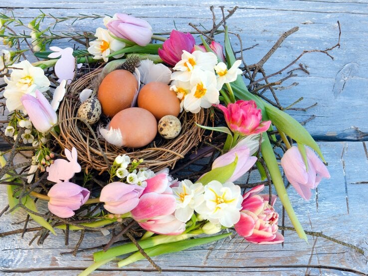 Frühlingshafter Osterkranz aus Zweigen mit Tulpen und Narzissen; im Nest liegen braune Hühner- und gesprenkelte Wachteleier auf blauem Holz.