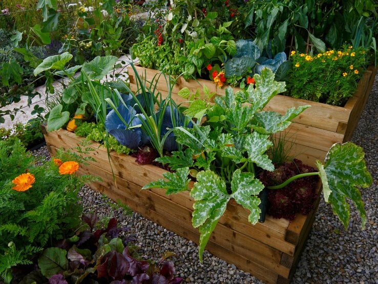 Ein üppig bepflanztes Hochbeet steht in einem Steingarten.