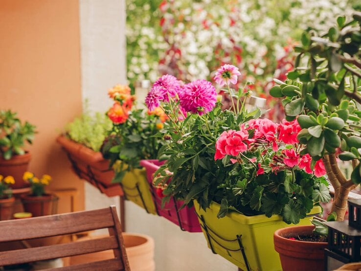 Balkon mit blühenden Blumen und Pflanzen