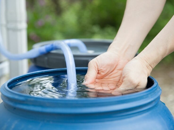 Nahaufnahme von Händen, die Wasser aus einem blauen Regenfass schöpfen, umgeben von grünem Garten.