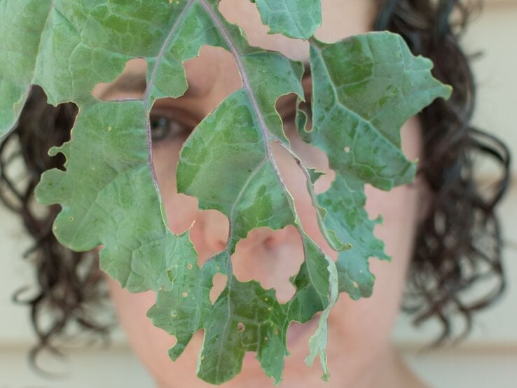 Eine dunkelhaarige Frau mit lockigem Haar blickt durch ein angefressenes Kohlblatt, das ihr Gesicht teilweise verdeckt.
