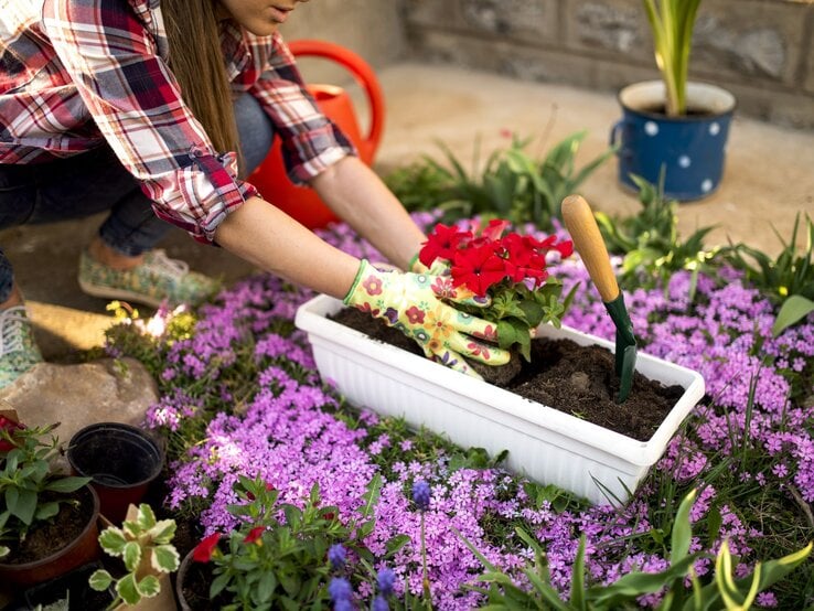 Eine Frau pflanzt Blumen in einen Kübel. Sie trägt dabei Handschuhe und kniet vor einem Beet.