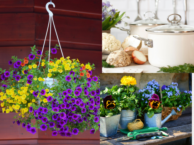 Collage mit bunter Blumenampel, weißen Kochtöpfen mit Gemüse und Gartenszene mit Blumentöpfen und Werkzeug.