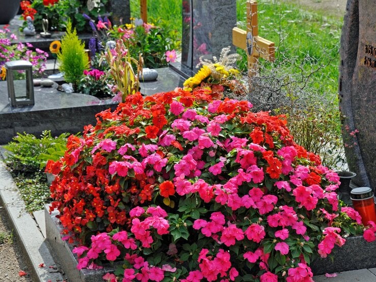 Üppige Sommerblumen in Pink und Rot bedecken ein gepflegtes Grab, im Hintergrund bunter Grabschmuck und ein Holzkreuz.
